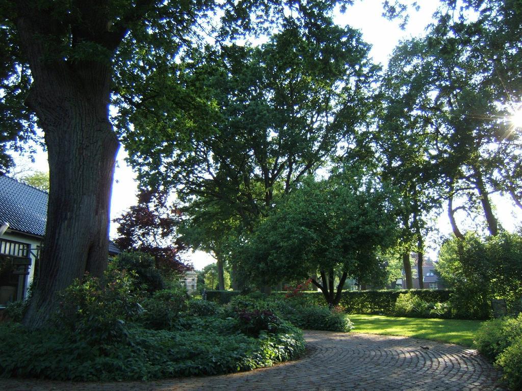 B&B"De Hassehof" Sellingen Eksteriør bilde